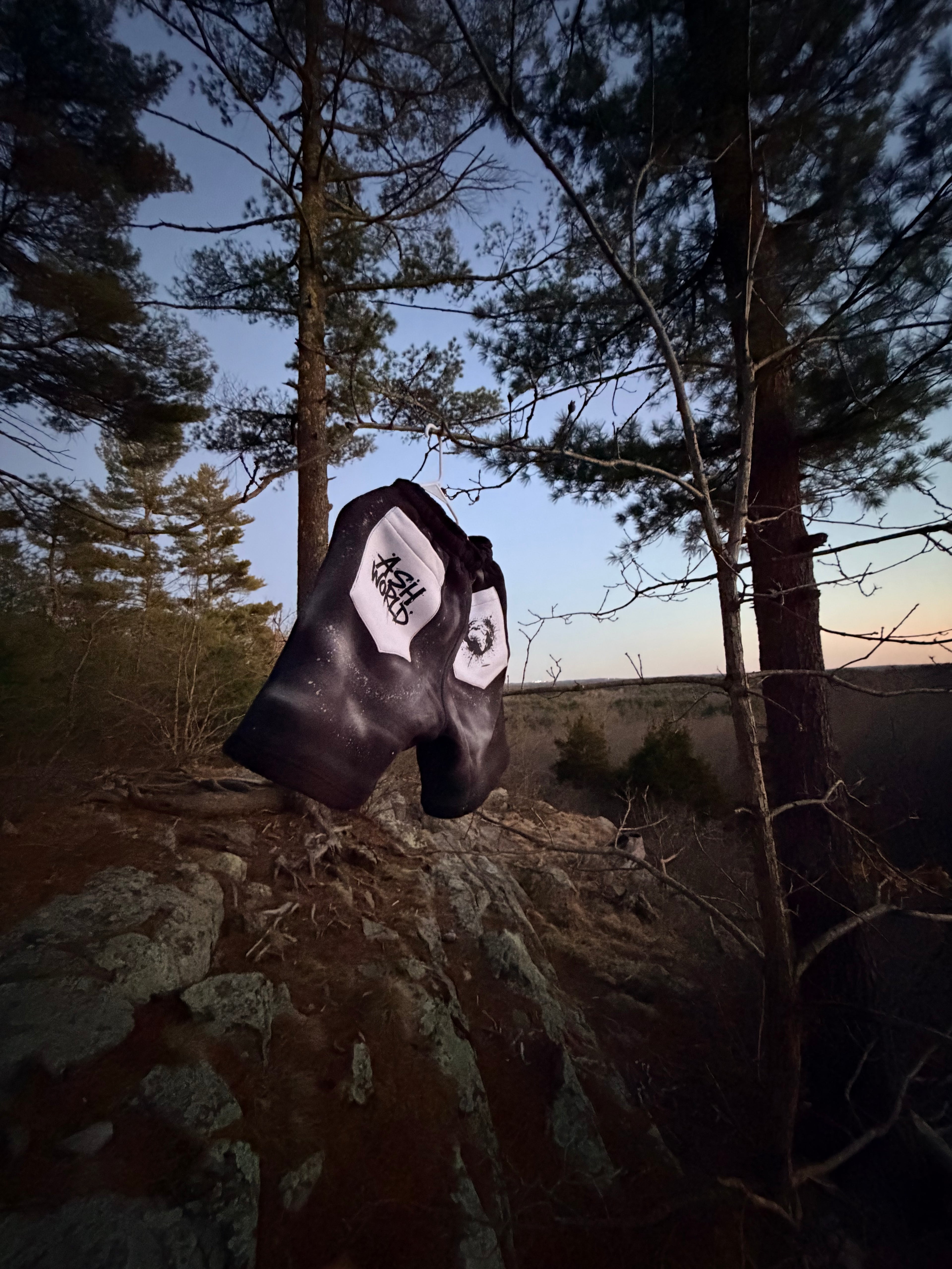 A$H World shiny graffiti shorts ￼